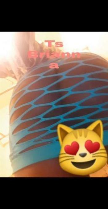 3137444170, transgender escort, Milwaukee