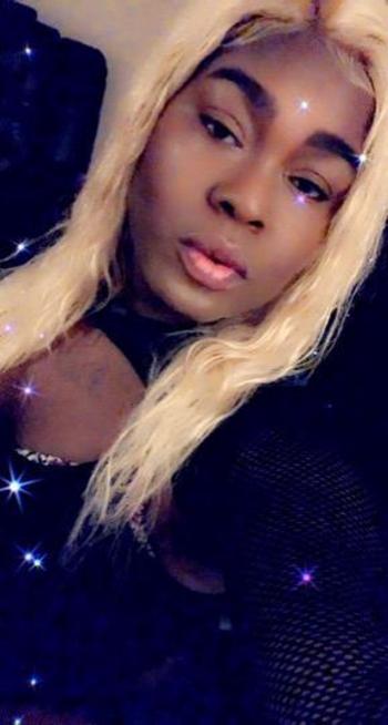 4149461071, transgender escort, Milwaukee