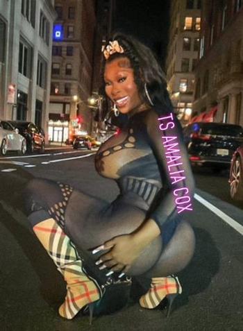 6892108814, transgender escort, Milwaukee